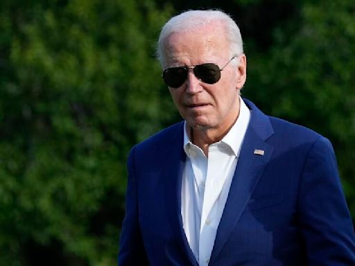 Column: These doctors believe Biden has a neurological disorder. So what now?