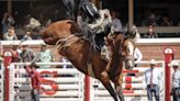 Photo Gallery: Calgary Stampede rodeo competition