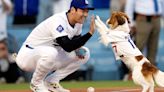 Shohei Ohtani's Dog 'Throwing Out' First Pitch Might Be The Cutest Thing Ever