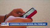 A call to restrict cell phone use in schools is gaining support amid youth mental health crisis