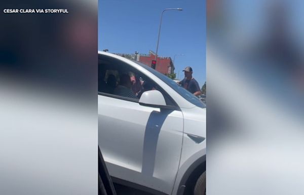 Good Samaritans help stop attempted carjacking in Los Angeles, video shows