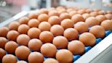 Eggs recalled by one of US's biggest suppliers due to health hazard