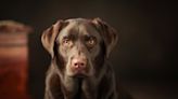 Therapy Dog Is Best Makeover Assistant for Women with Cancer