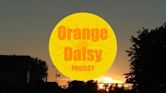 Orange Daisy Project