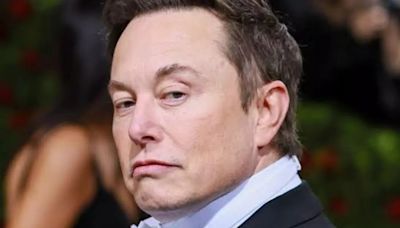 'Will Skip Omelets': Elon Musk Responds to Criticism of SpaceX Launch Destroying Bird Nests
