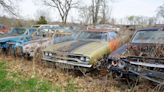 Step Into a Time Capsule: A Farm Where Mopar Muscle Cars Find Their Second Wind