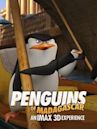 Die Pinguine aus Madagascar