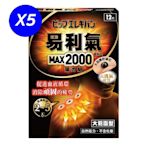 易利氣 磁力貼 大範圍型-MAX2000高斯(12粒/盒)x5盒