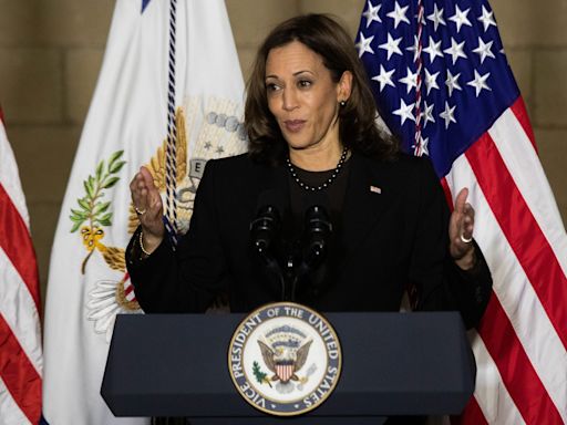 Will Kamala Harris inherit Biden's $240M in campaign donations? Law reveals 'gray area'