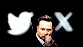 Elon Musk's absurd Twitter rebrand: Has the far right finally broken his brain?