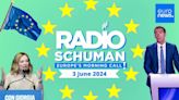 Will liberals be biggest losers of EU election? | Radio Schuman