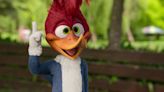 Woody Woodpecker Goes to Camp Movie Sets Netflix Release Date