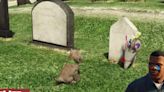 La historia del perro que visita la tumba de su dueño todos los días en GTA V está basada en un hecho real