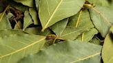 Una hoja de laurel bajo el armario: la razón por la que deberías ponerla ya