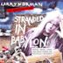 Stranded in Babylon: The American Re-Mix