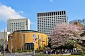 Universidad Sofía de Tokio