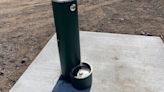 Hastings Dog Park installs drinking fountains for both humans and dogs