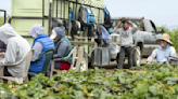 Hundreds of Central Coast Farmworkers plan a day of action in Santa Maria