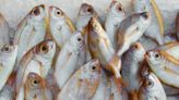 Quels poissons pour le régime Thonon ?