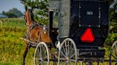 14-year-old killed after horse-drawn carriage crashes into train