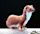 Least weasel