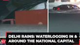 Heavy rain lashes Delhi-NCR, waterlogging in many areas; visuals from in and around the national capital