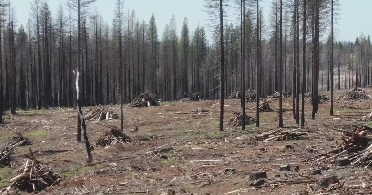 Tiny homes on the way for Grizzly Flats residents still displaced by Caldor Fire