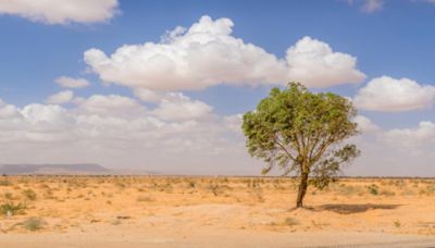 Risque de fortes chaleurs : voici pourquoi on surveille l'évolution météo de la mi-juillet