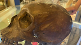 Skull Believed to be of Native American on Sale at Florida Thrift Shop for $400