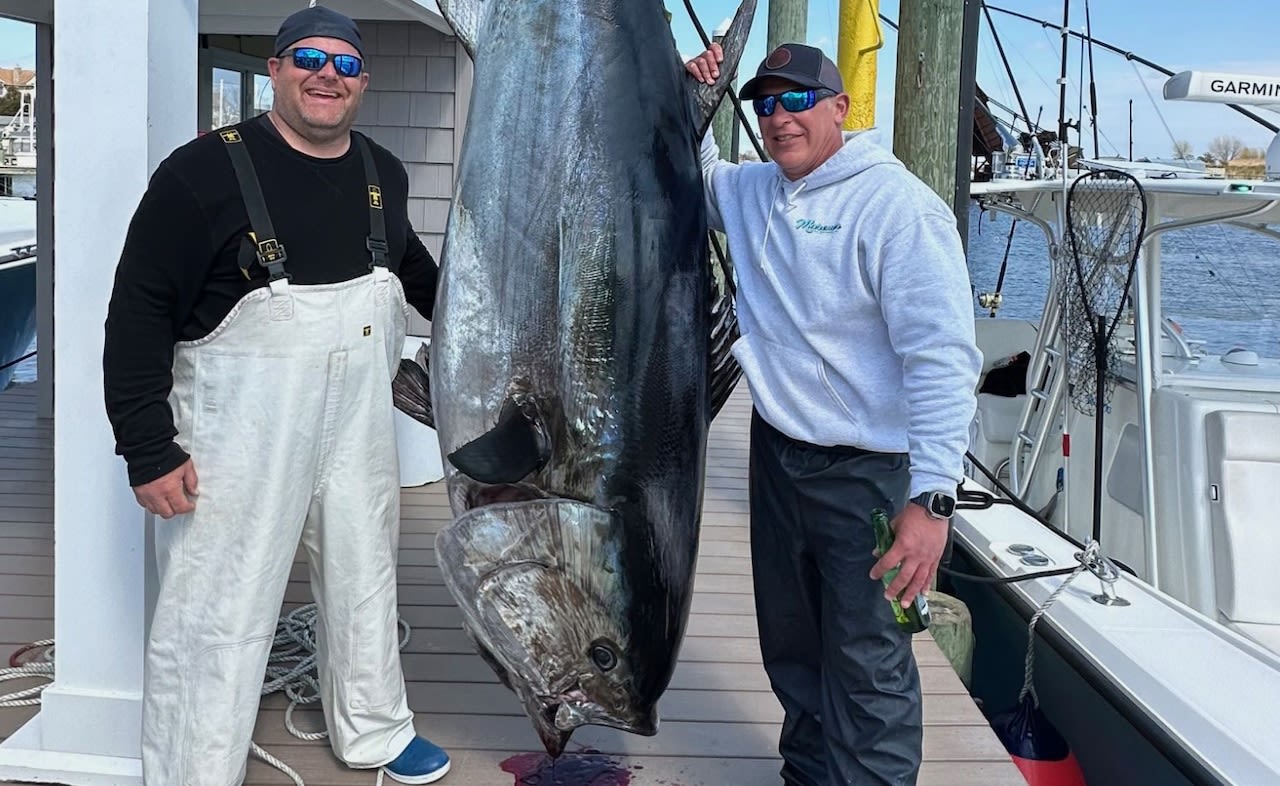Avid angler hauls in enormous, 718 pound blue fin tuna off the Jersey Shore