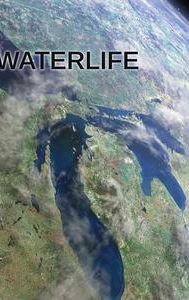 Waterlife