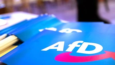 Kommentar von Josef Seitz - Wie fair geht die ARD mit der AfD um? Nach dieser Sendung sind wir schlauer