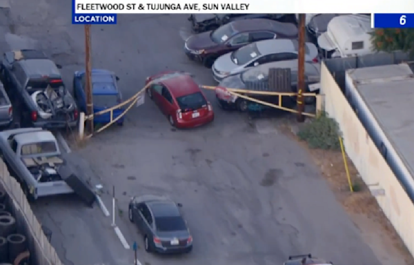 Stolen vehicle suspect arrested after running inside home at end of wild pursuit through San Fernando Valley