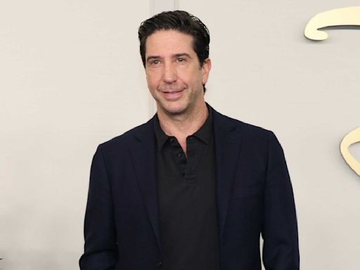 Friends Star David Schwimmer Reveals He Turned Down Lead Role In THIS Major Franchise: 'My Career Would Have...'