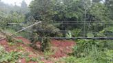 Cerrado el tránsito vehicular por deslizamiento de tierra, caída de árboles y postes en la carretera E-10 Ibarra - San Lorenzo