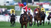 Cheltenham Festival tips: Experts on best bets and 12 horses to watch