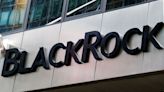 BlackRock to invest up to $400 million in Dubai decarbonisation firm Positive Zero