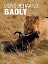 Lions Behaving Badly
