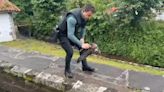 La Guardia Civil rescata un águila ratonera en un canal de agua en Urdax