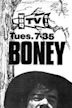 Boney (TV series)