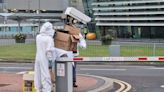 Dublin Airport ‘buzzing’ as 5,000 honey bees removed from near Terminal 1