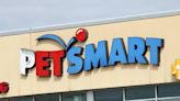 PetSmart is looking for its next ‘Chief Toy Tester’ and the starting salary is $10,000