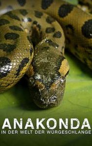 Anaconda: Silent Killer