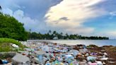 Cómo las limpiezas de las vías fluviales de Miami dieron lugar a un esfuerzo en equipo y a cambios medioambientales