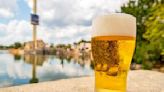 International Beer Day: Busch Gardens Tampa Bay offering 50% of beer