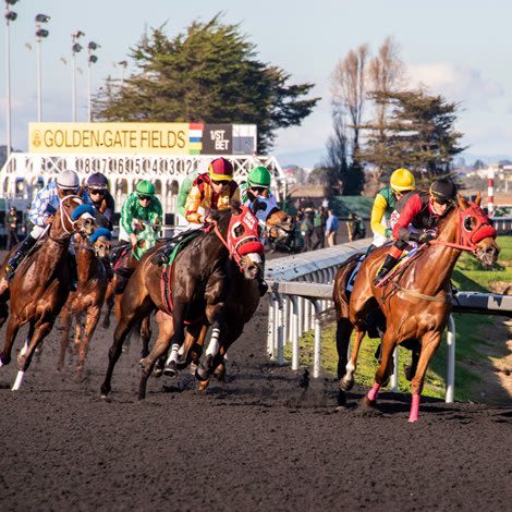 Golden Gate Cancels Due to Lack of Entries