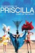 Priscilla, folle du désert