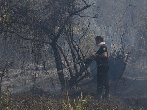 Las lluvias de los últimos meses ayudaron a que haya menos quemas de pastizales en Santa Fe