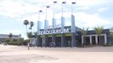 Miami Seaquarium faces Sunday deadline to vacate Virginia Key location - WSVN 7News | Miami News, Weather, Sports | Fort Lauderdale