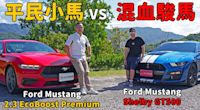 【新車試駕影片】不用190萬就能一圓美國夢， Ford Mustang 2.3 EcoBoost Premium ft. Ford Mustang Shelby GT500